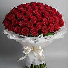 Букет 101 Красная роза Блэк Мэджик в Мотяково