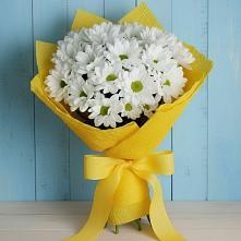Букет цветов из:  Хризантемы #REPLACE_PRED# Мотяково