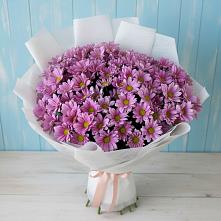 Букет цветов из:  Хризантемы в Мотяково