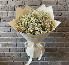 Букет цветов из:  Ромашки #REPLACE_PRED# Мотяково