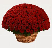 Премиум букет из: Розы #REPLACE_PRED# Мотяково