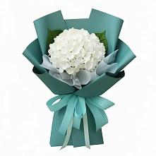 Букет цветов из:  Гортензия в Мотяково